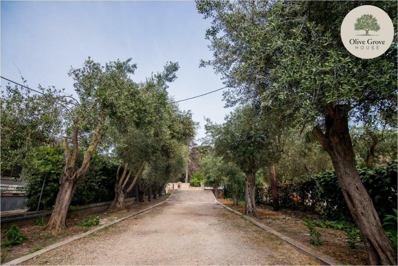 Olive Grove House Argostoli (Kefalonia) Exterior foto